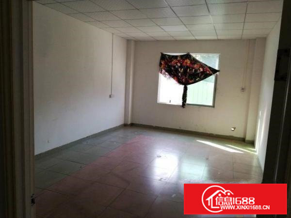 村委独院厂房仓库原房东出租