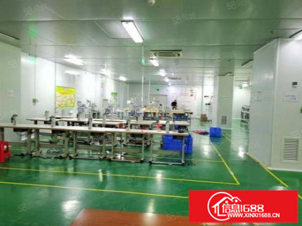 观澜全新无尘车间1500平19全包精装免转让费拎包入住级别高