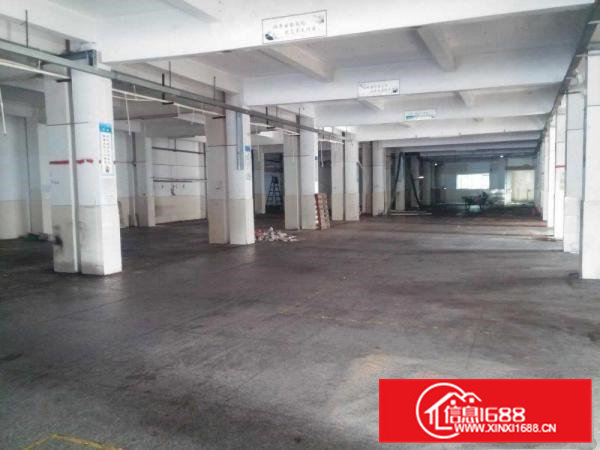 横江厦招租标准一楼厂房1000平方原房东分租