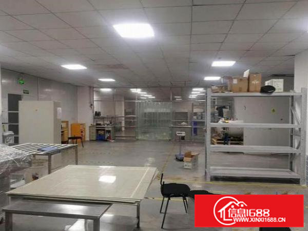 石排水贝村楼上精装修400平出租，带前台吊顶地坪漆