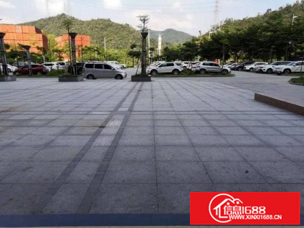 横岗靠盐田新出楼上300平带精装修带红本厂房