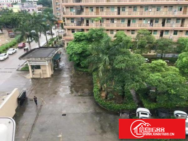 大岭山厚大路边9成新独院招租，双证齐全，可办环评