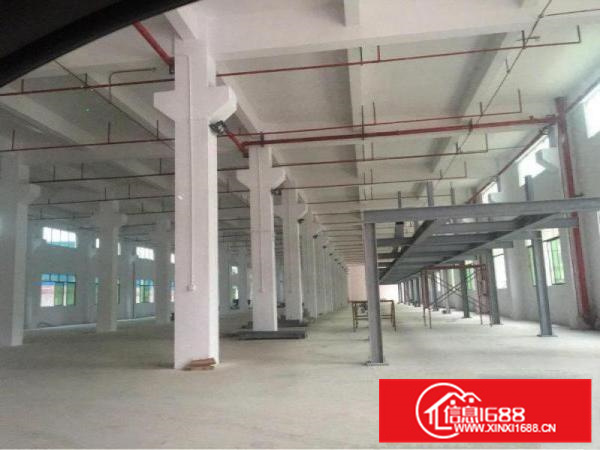 可办环评，独栋，均安3650方厂房出租，价格便宜