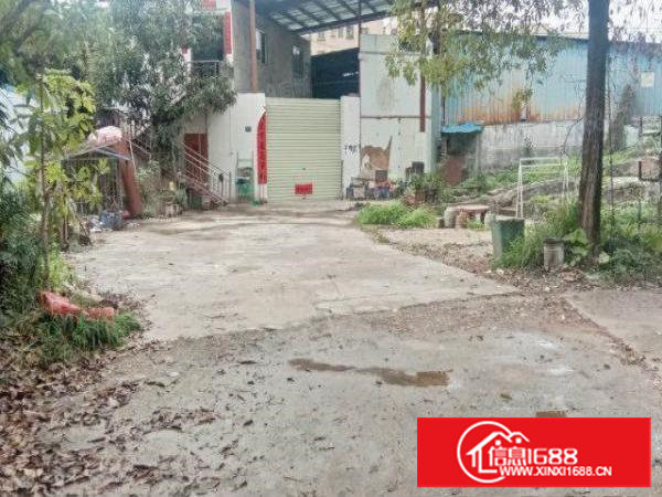 赠大空地！清湖头本地房东自建独院钢构厂房1100平直租