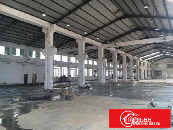 清溪镇新出独院单一层厂房出租