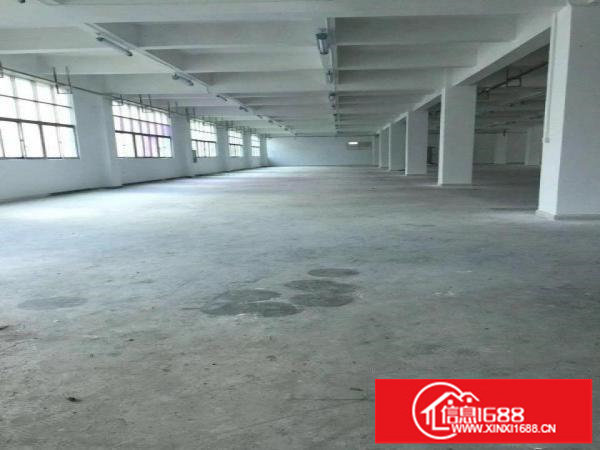 龙华民治新出楼上1300平米标准厂房出租