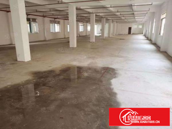 茶山镇10元厂房招租茶山镇独栋厂房三层2900平方