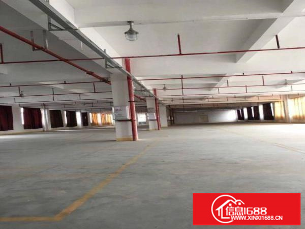 大亚湾独院厂房，9000带现成装修