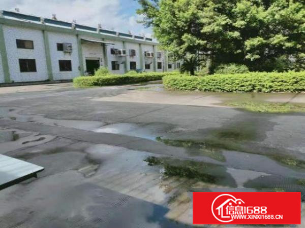 空的大，近龙岗凤岗官井头单一层独院钢构厂房出租4600平