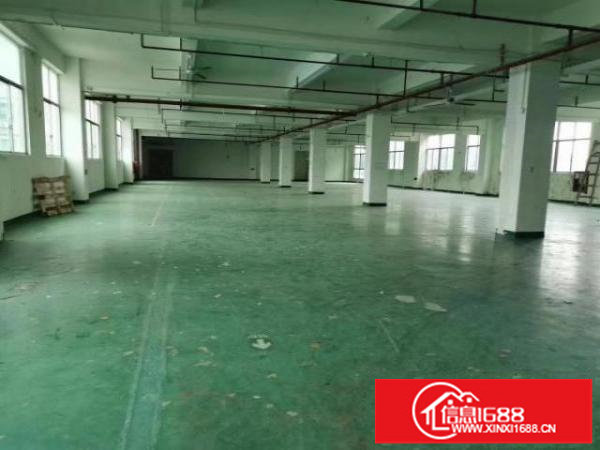 坂田厂房出租二楼1300平，一楼3000平出租，租金便宜