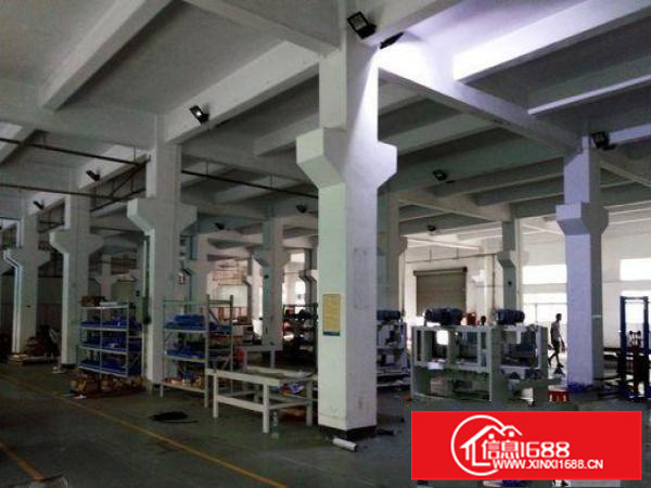 出租惠阳新墟一楼1200平方整层厂房