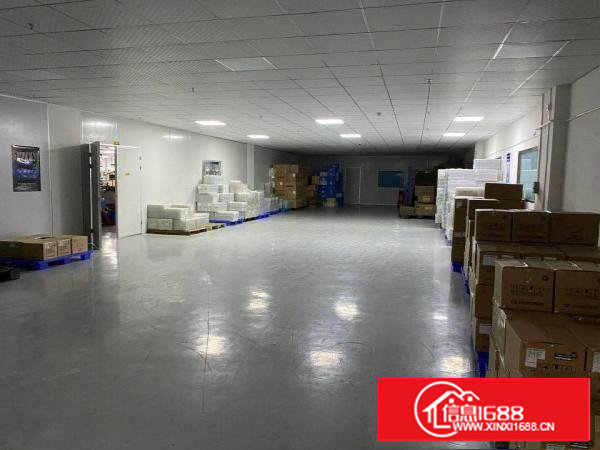 长安镇沙头滨海新区原房东厂房