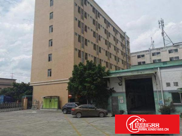 大朗原房东单一层钢构1800方，无公摊，滴水8米，可进大车