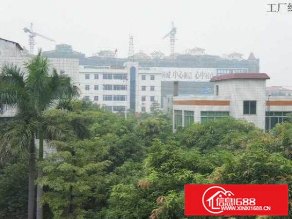 南海罗村小型厂房、仓库及50?80方办公室招租位置佳形象优越