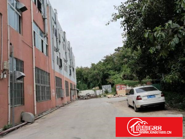 横岗四联新出楼上整层带装1280平米出租