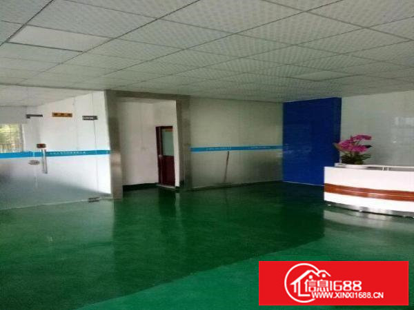 坪山区坑梓龙田社区6米高带牛角厂房2700平米