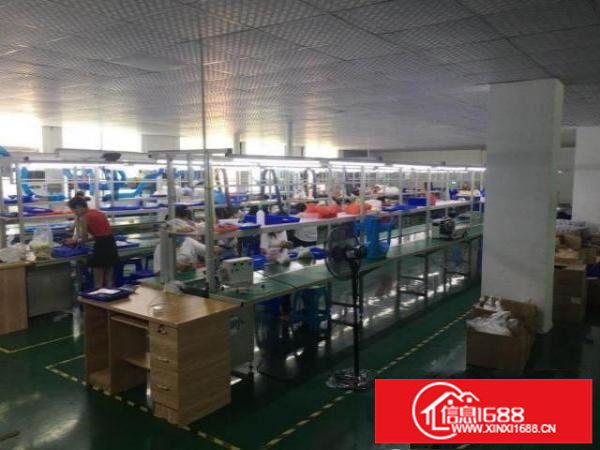 松岗107国道边下围水工业区二楼整层1500平方豪华装修出租