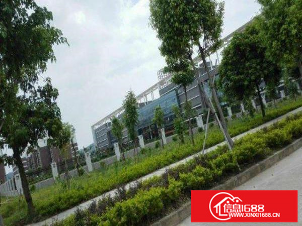 惠城区水口新空出花园式独门独院厂房招租