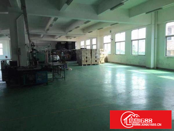 大朗镇新出原房东独院6000平方厂房出租