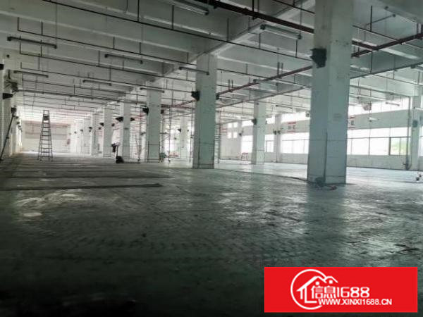 坪山大工业区新出红本厂房一楼5000平方大小分租