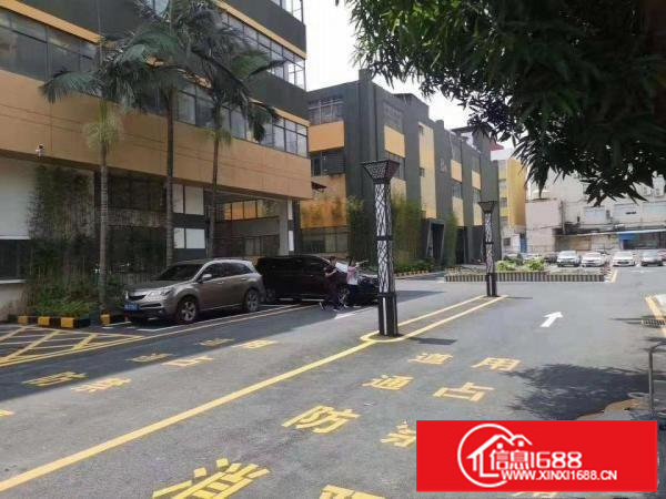 横岗塘坑地铁站精装办公室电商仓库100平米起分租