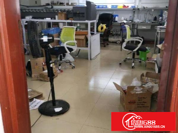 【一楼厂房出租】一楼360平厂房/可做展厅办公