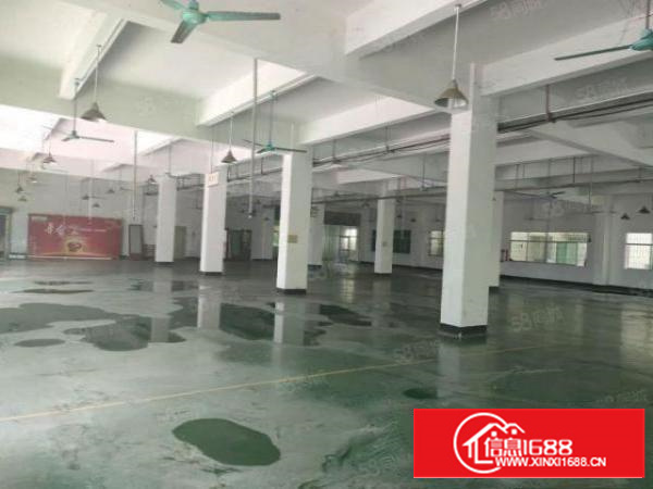 1250平方厂房，带现成装修办公室，现成水电，