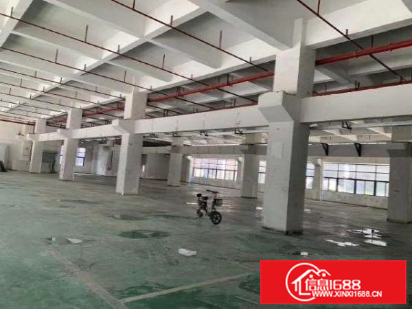 凤岗竹塘科技园重工业带牛角厂房出租标准一楼2600平方