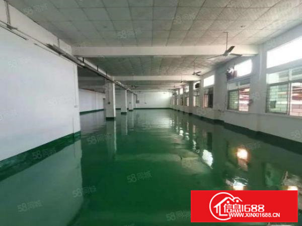 厂房出租横沥镇新出原房东独门独院精装修厂房水电齐全入住可生产