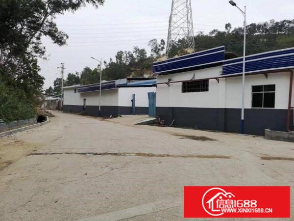 横岗六约地铁口附近新出层高5米一楼600平标准厂房