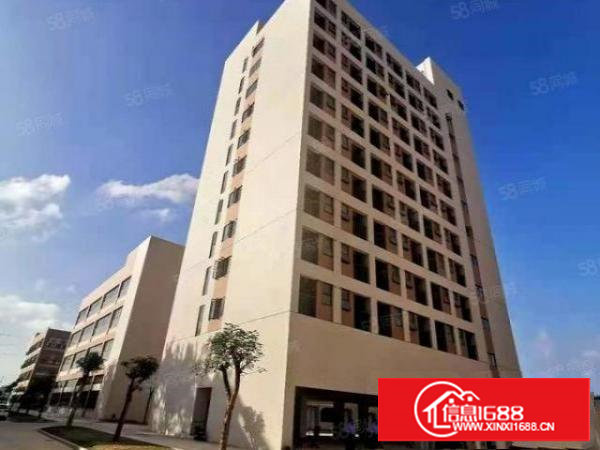 塘厦沙湖有原房东新建独院厂房4000平方出租，可分租