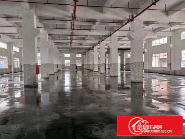 万江新出原房东独门独院楼房厂房出租