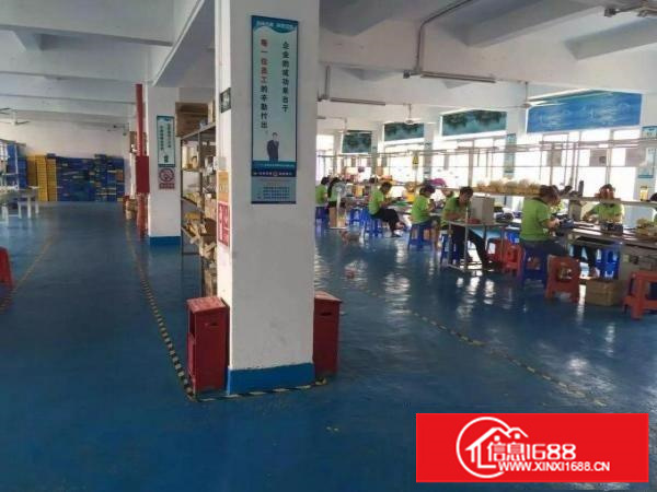 龙岗五联新出独院3层4000平米厂房出租可分租