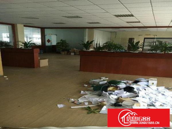 龙西（业主直租）独门独院厂房2400平方大小分租