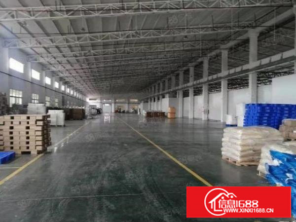 新出本地房东钢构独院15000方价格便宜滴水10米