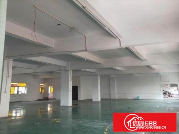 公常路楼层高度:3m左右价格优惠