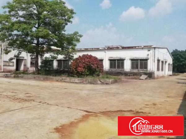 石排独门独院单一层厂房出租证件齐全324国道边空地超大