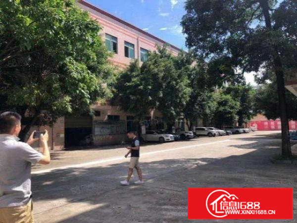 清溪新出原房东标准厂房10元起租