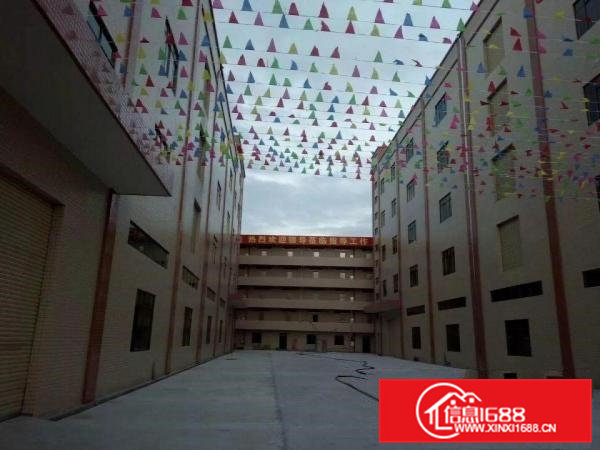 东莞市桥头标准独门独院厂房出租