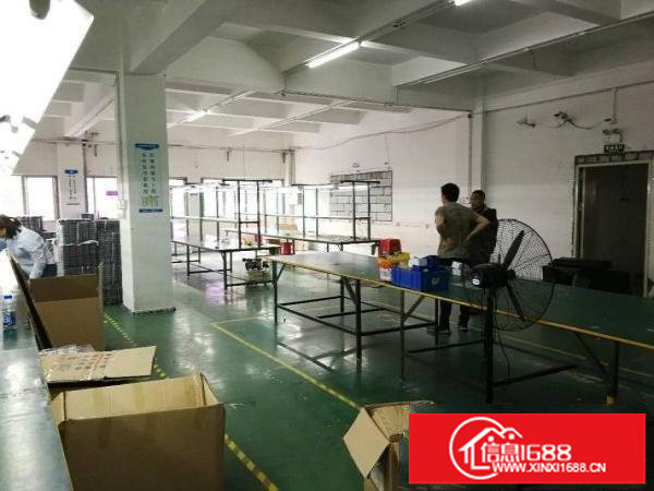 坂田上雪科技园厂房仓库800平700平带地坪漆装修