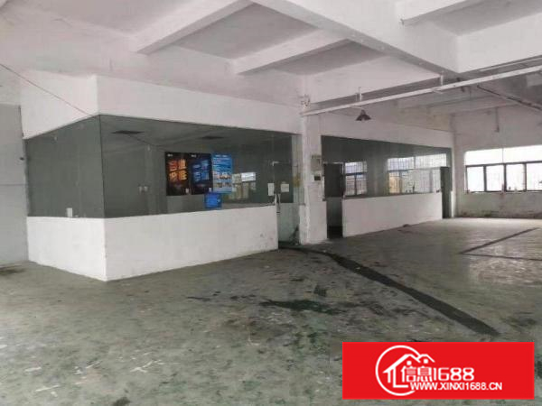 惠阳新墟原房东二楼标准厂房1050出租带红本