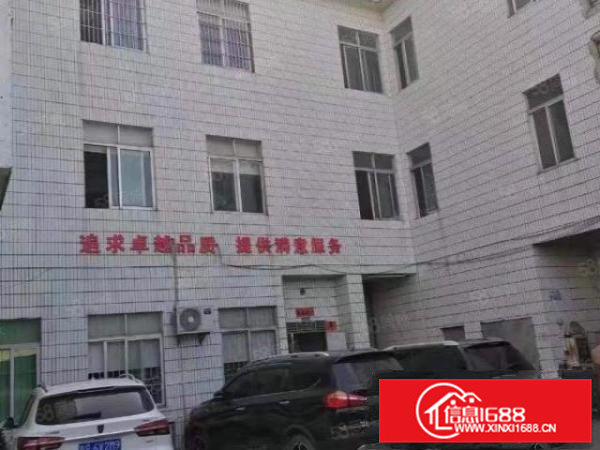 横沥镇原房东13层1000平招租，有装修，租金10块钱