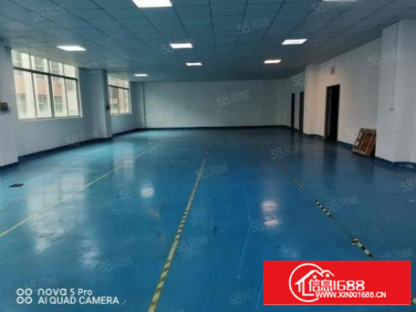 风岗金凤凰标准厂房1200平，精装地坪漆电子加工行业等