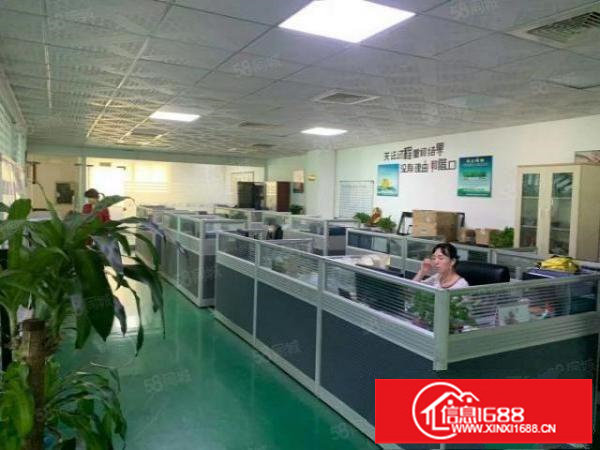 楼上厂房出租，精装修办公室，水电齐全