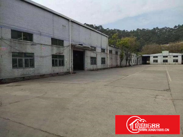 国土证红本，田心原房东25700平米园林式独院厂房，可分租