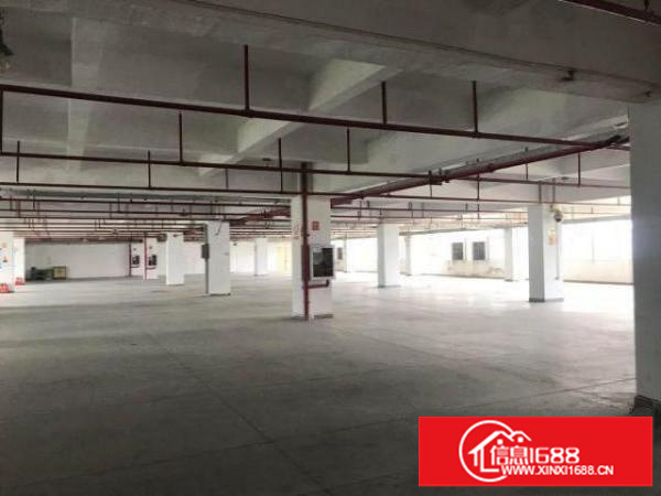 龙岗区坂田新出楼上1600平出租