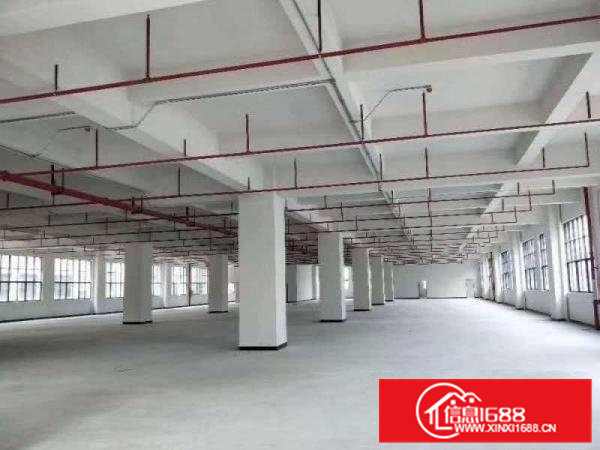 凤岗带红本重工业全新独院厂房招租两栋共54000平米可分租