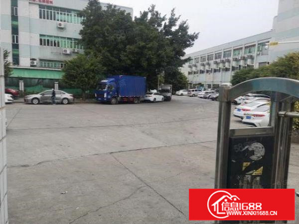 横沥新出一楼或楼上18000平方，300起分，空地大形象好