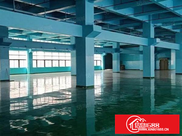 金凤凰新出一楼2600平方，高度6.5米，主线水电齐全