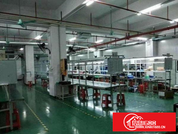 同乐工业区带红本楼上940平精装厂房出租